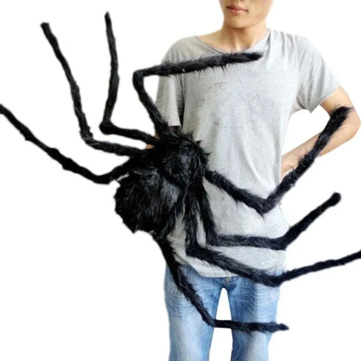 Araña gigante peluda de 2 metros