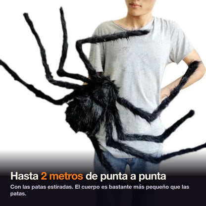 Araña gigante de hasta 2 metros de punta a punta